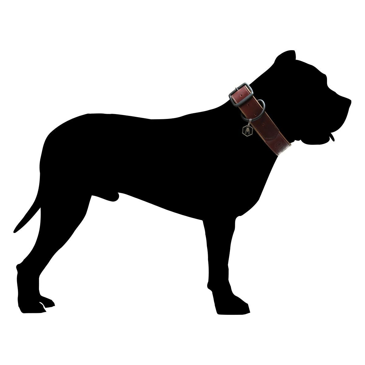 【CDO-HOHG18CBL〈BR〉】犬の首輪〈サイズ「S」〉牛革　人気 Horween LEATHER COLLAR ( XL size ) | WOLFGANG