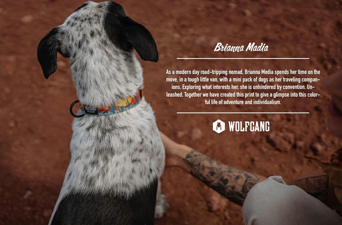 首長犬 PackLeader Harness ( M size ) | WOLFGANG