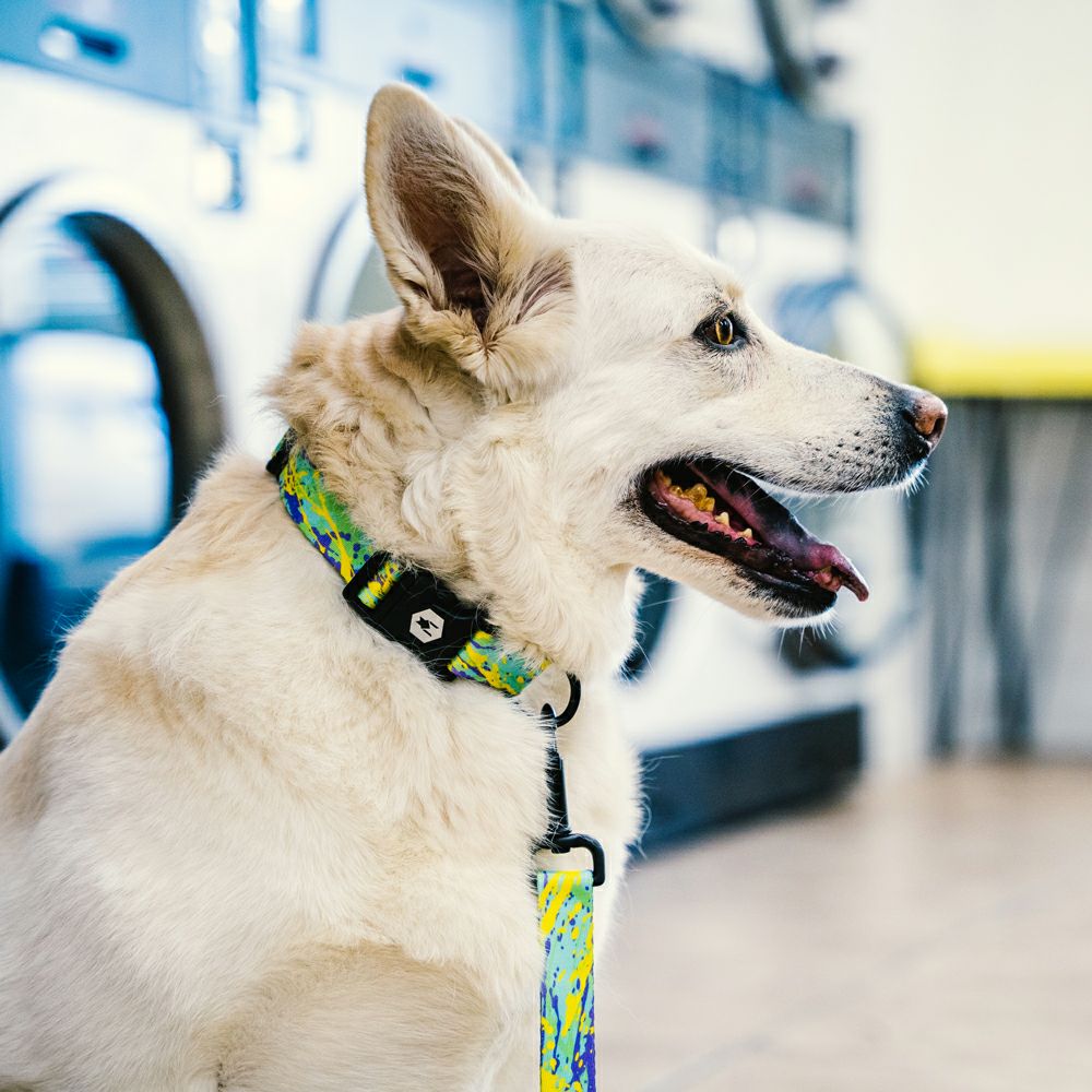 ModernCanvas Harness ( S size ) | WOLFGANG