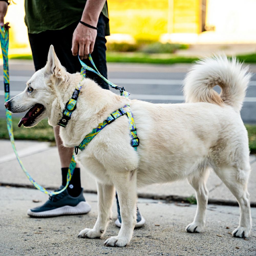 ModernCanvas Harness ( S size ) | WOLFGANG
