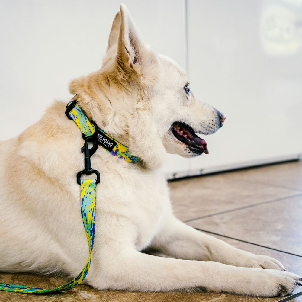 ModernCanvas Harness ( M size ) | WOLFGANG