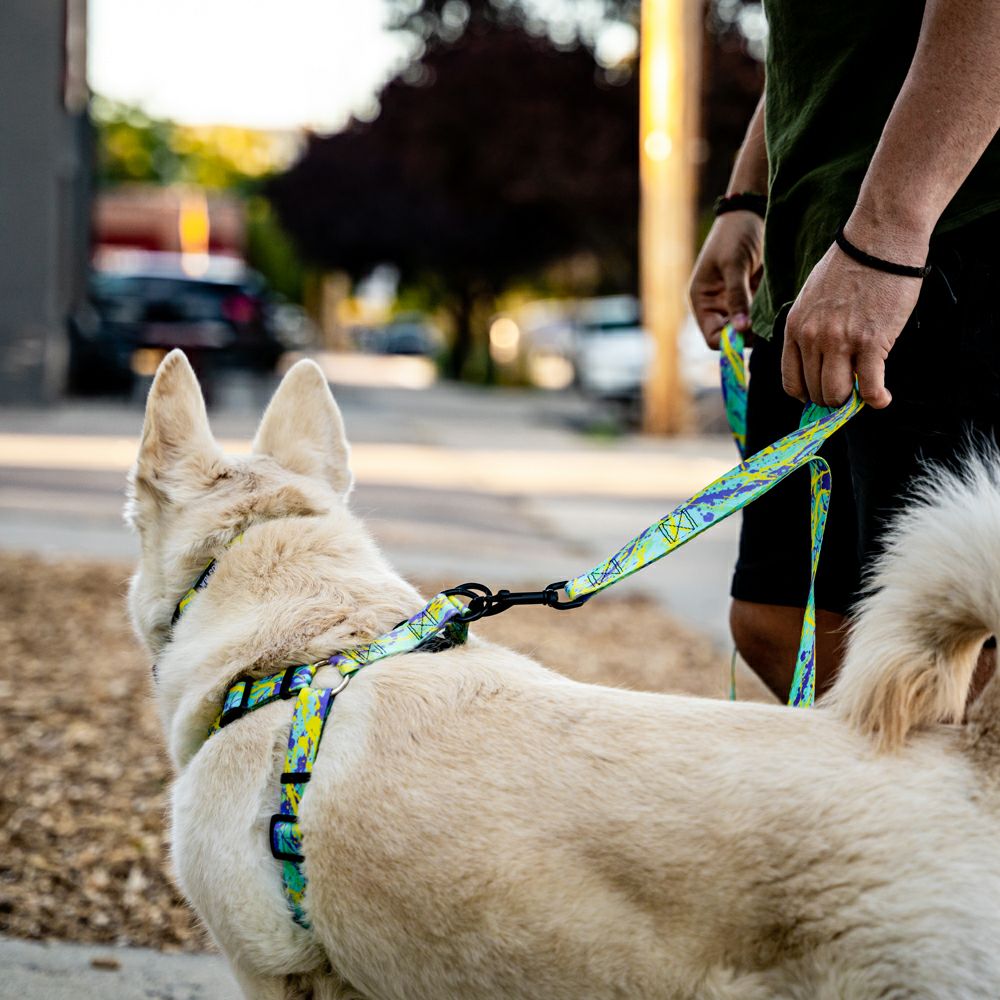 ModernCanvas Harness ( M size ) | WOLFGANG
