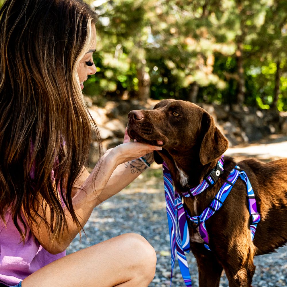 MarbleWave Harness ( S size ) | WOLFGANG