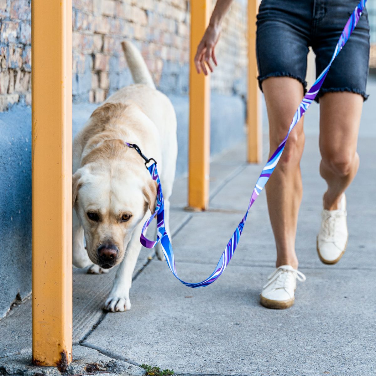 MarbleWave Harness ( M size ) | WOLFGANG