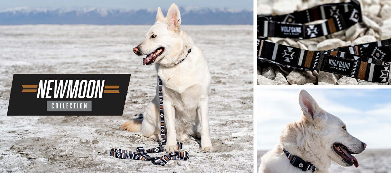 NewMoon HARNESS ( L size ) | WOLFGANG