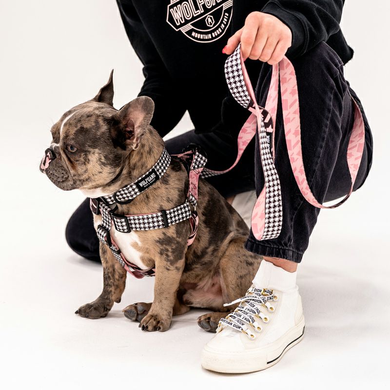 palace skateboards dog collar lead 犬　首輪 JACQUARD LOGO DOG COLLAR AND LEAD | PALACE SKATEBOARDS