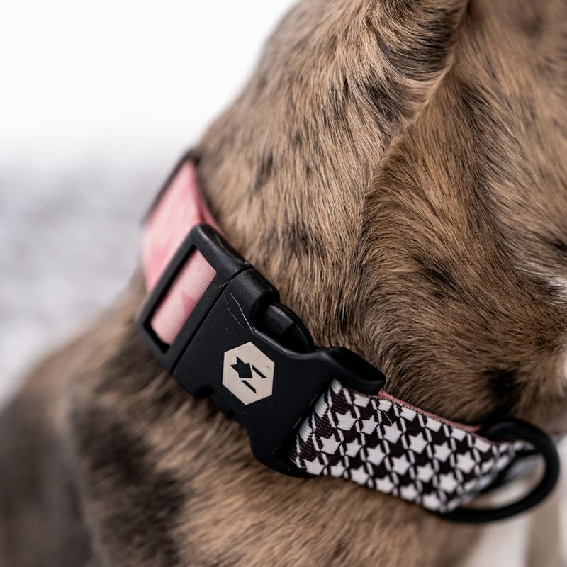 HoundsPink COLLAR ( M size ) | WOLFGANG