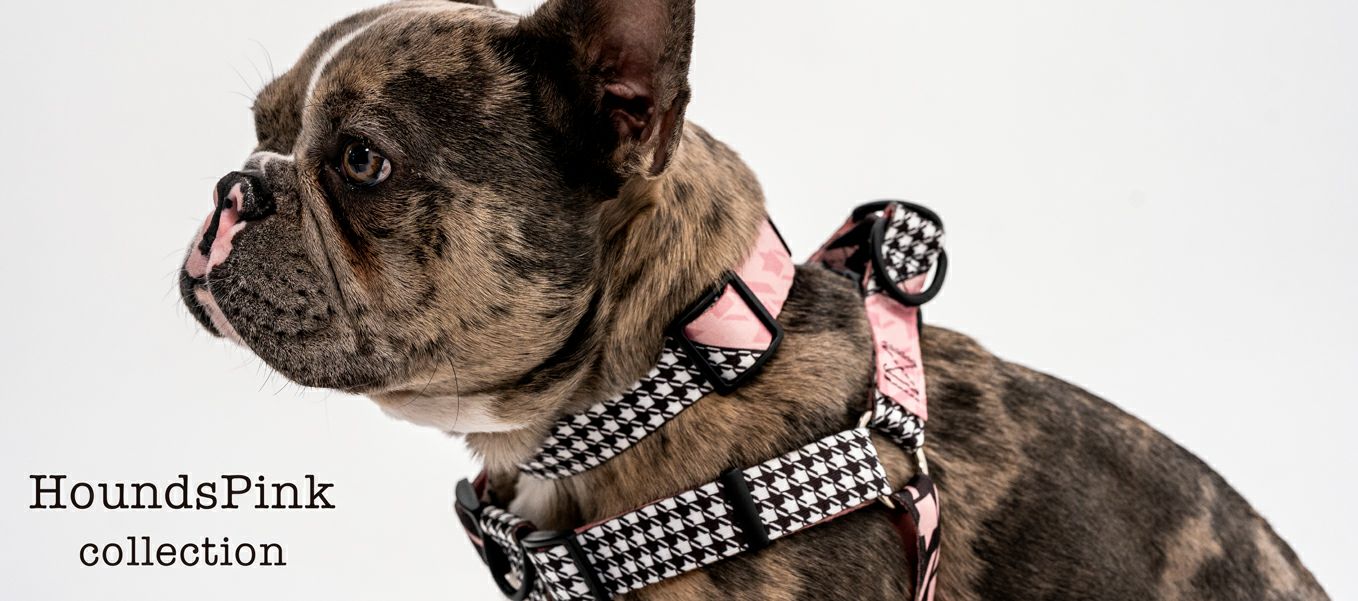 HoundsPink HARNESS ( L size ) | WOLFGANG