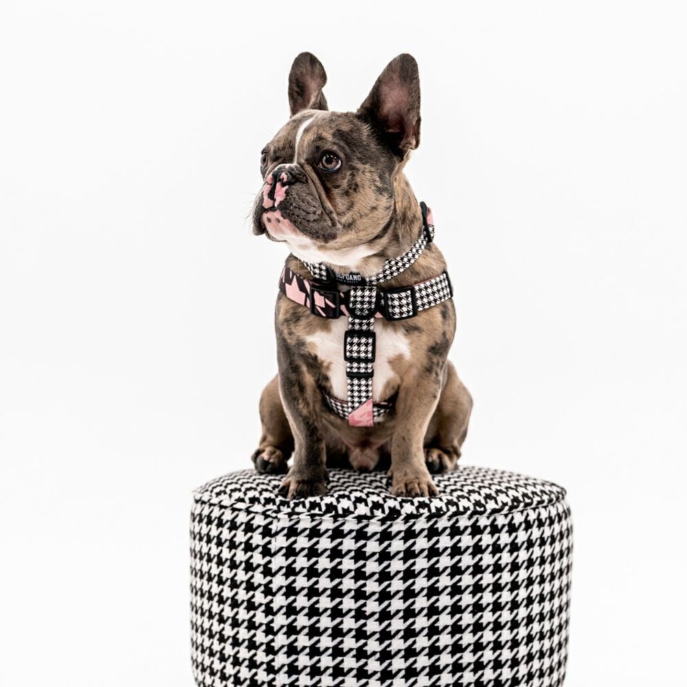 HoundsPink HARNESS ( M size ) | WOLFGANG