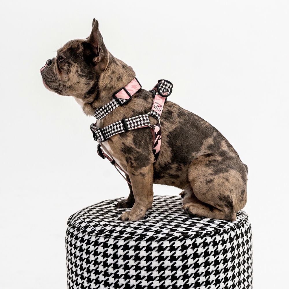 HoundsPink HARNESS ( S size ) | WOLFGANG