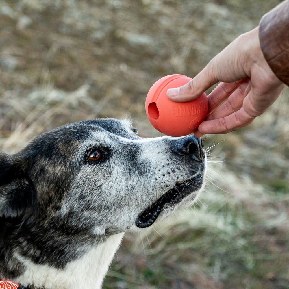 GnarBall RUBBER DOG TOY Orange | WOLFGANG