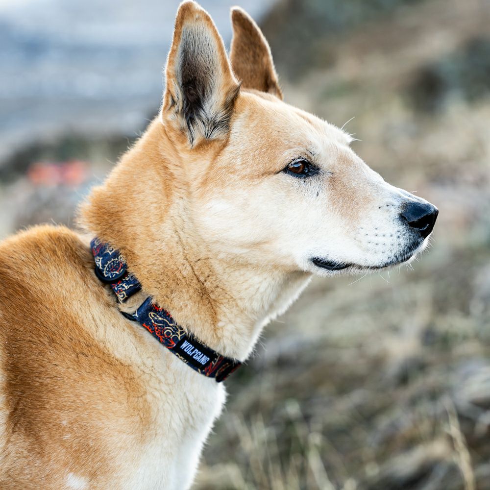 SandFlats Harness ( M size ) | WOLFGANG