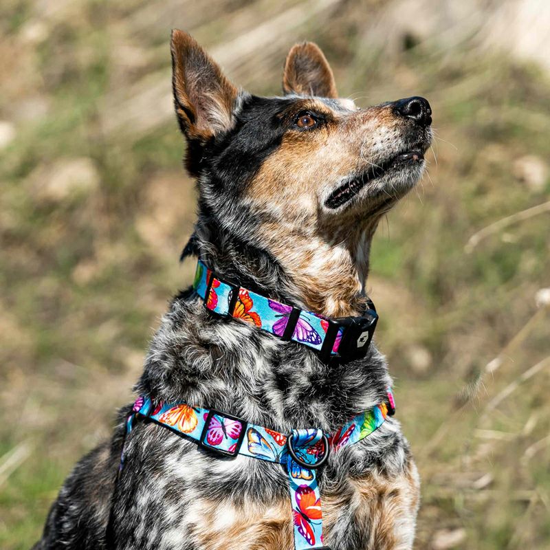 FlutterColor Harness ( L size ) | WOLFGANG