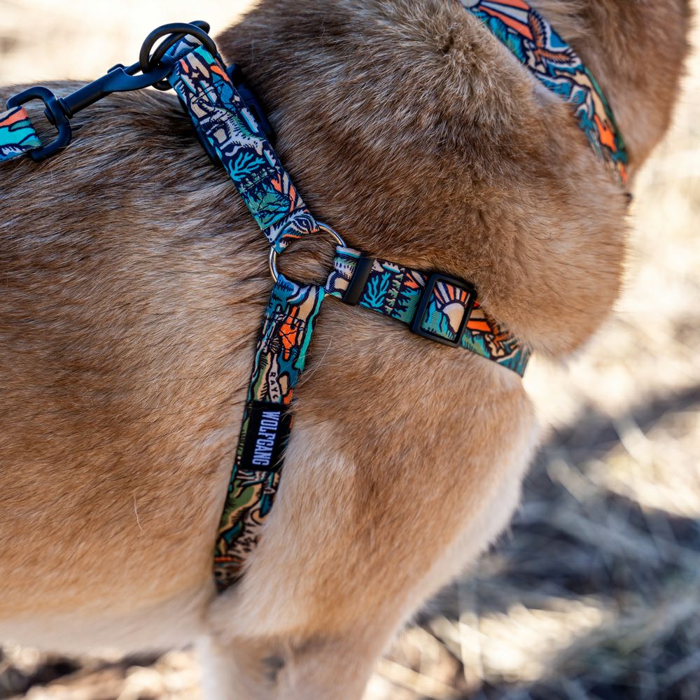 WildWolf HARNESS ( M size ) | WOLFGANG