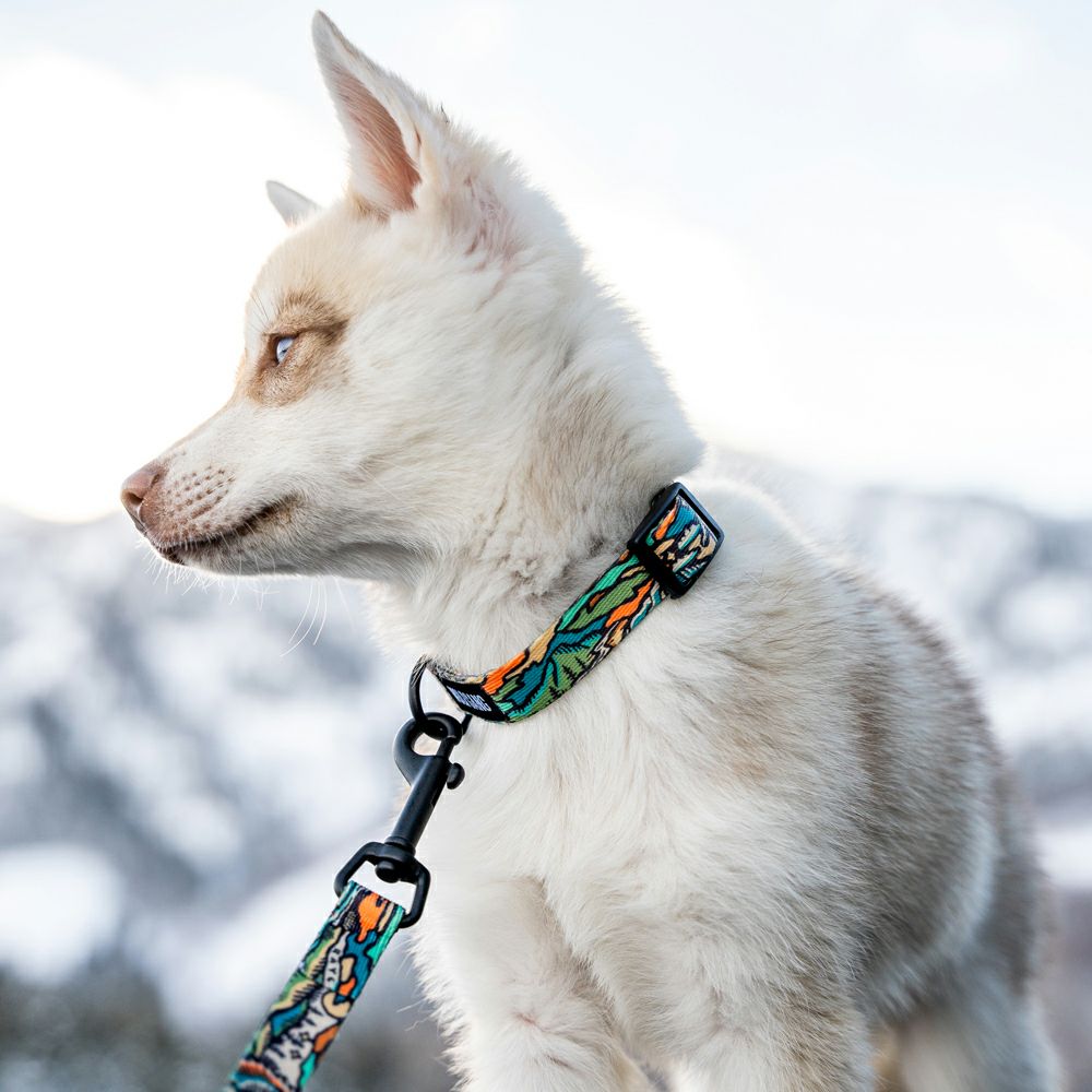 WildWolf Harness ( XL size ) | WOLFGANG