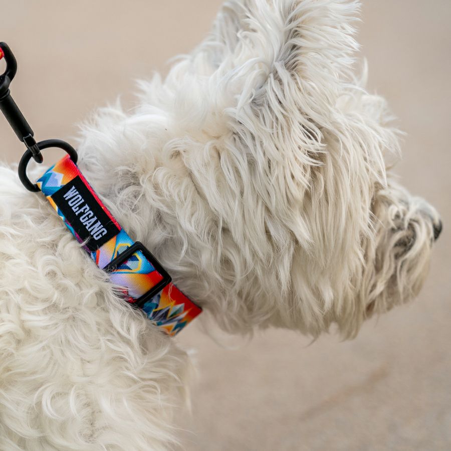 MountainVibes HARNESS ( L size ) | WOLFGANG