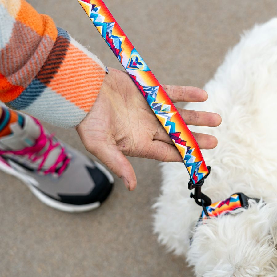 MountainVibes HARNESS ( L size ) | WOLFGANG