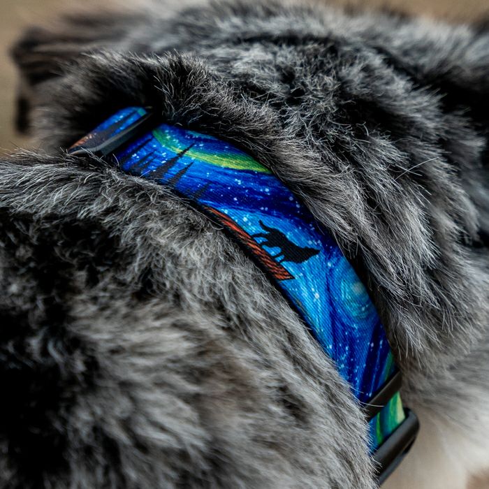 StarryWolf LEASH ( S size ) | WOLFGANG