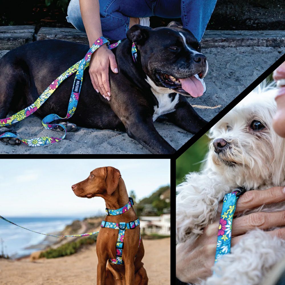 洋楽 Rup Dog Luuks up】Dog Rope Toy - 株式会社ぺティファーム