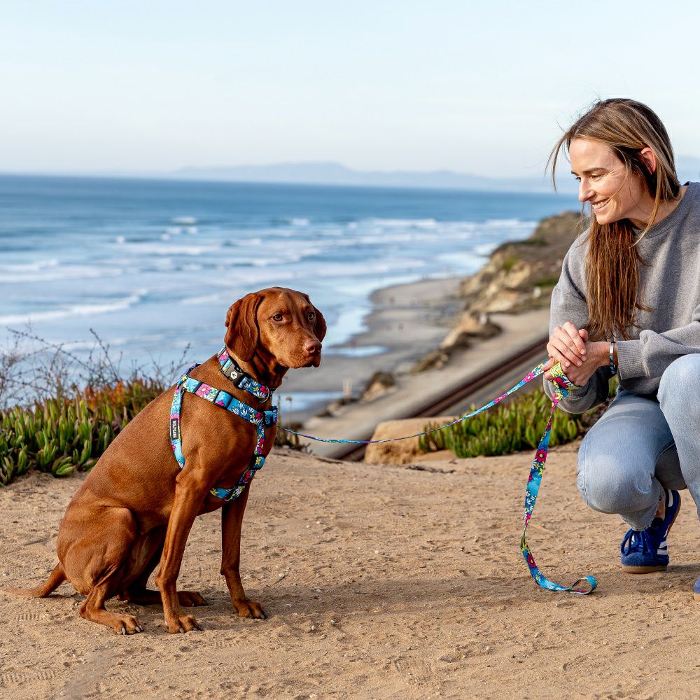 LazyDaisy LEASH ( S size ) | WOLFGANG
