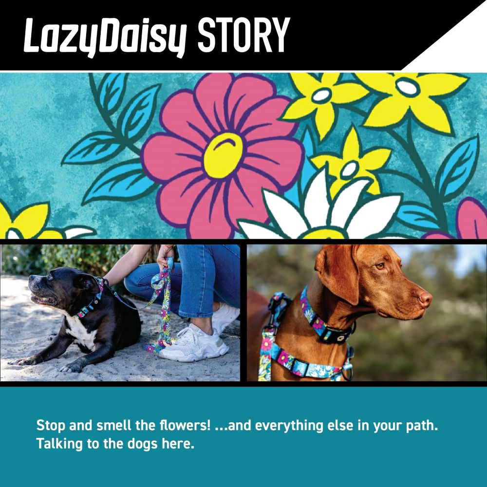 LazyDaisy LEASH ( S size ) | WOLFGANG